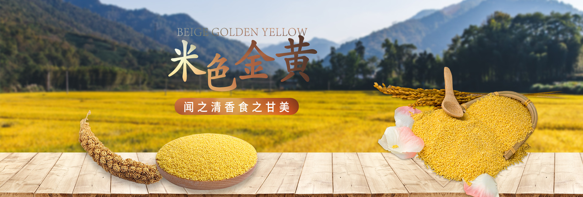 金鄉(xiāng)縣高創(chuàng)農(nóng)業(yè)科技有限公司